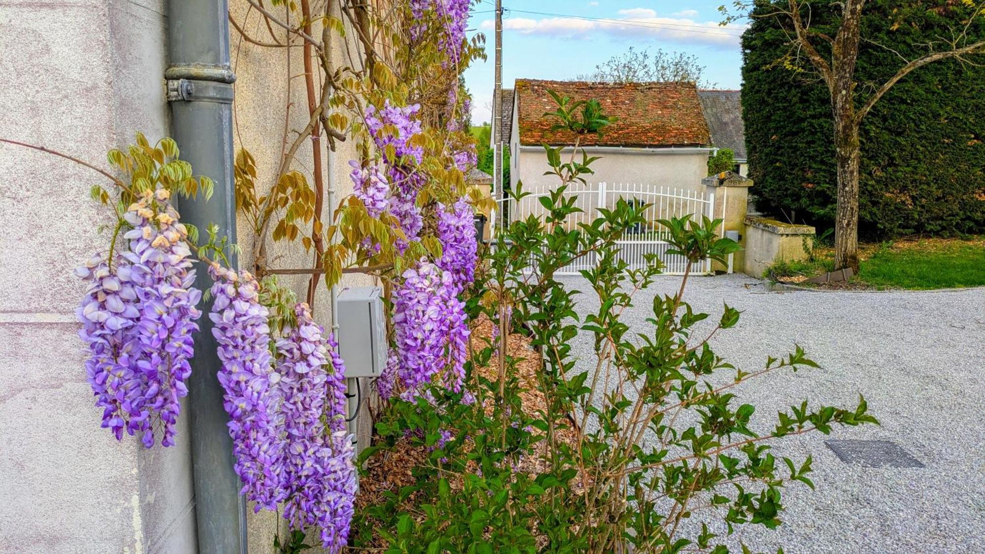 Les 7 Tilleuls - Gite Mesland Exterior foto
